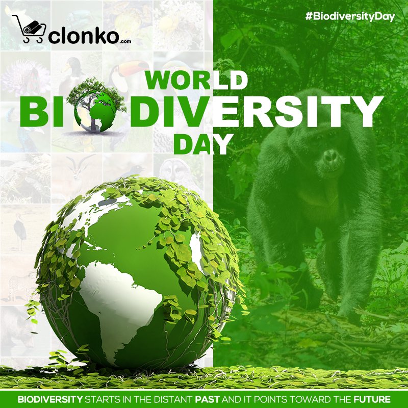 ClonkoProducts's tweet photo. On this International Day for Biological Diversity, let us commit to adopting, adapting and scaling up best practices so we can protect fragile ecosystems for the benefit of all.

#InternationalDayForBiologicalDiversity #Ecosystem #Air #Water #Earth #IDB2019 #BiodiversityIsFood https://t.co/IhdmmhG2be