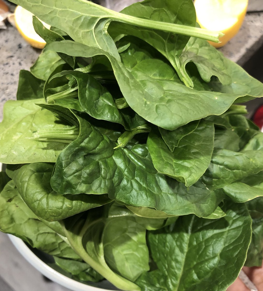 This is a public announcement that we successfully grew, harvested, & ate spinach, collard greens, & swiss chard from the garden plot!

As such, I now reserve the right to use this emoji 👩🏾‍🌾