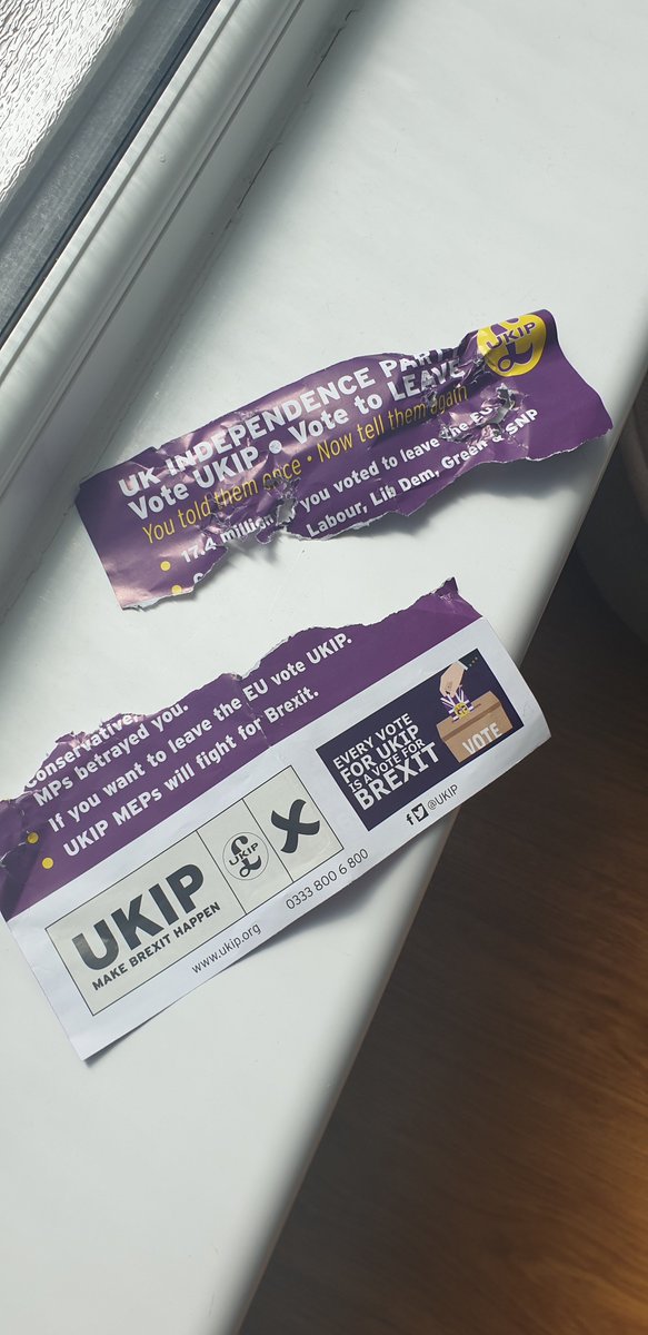 BeccaValentini's tweet photo. The dog chewed up my mail again... I'm not even mad, she knows the T
#mansbestfriend #therealt #ukip https://t.co/OaBWzLgCpZ