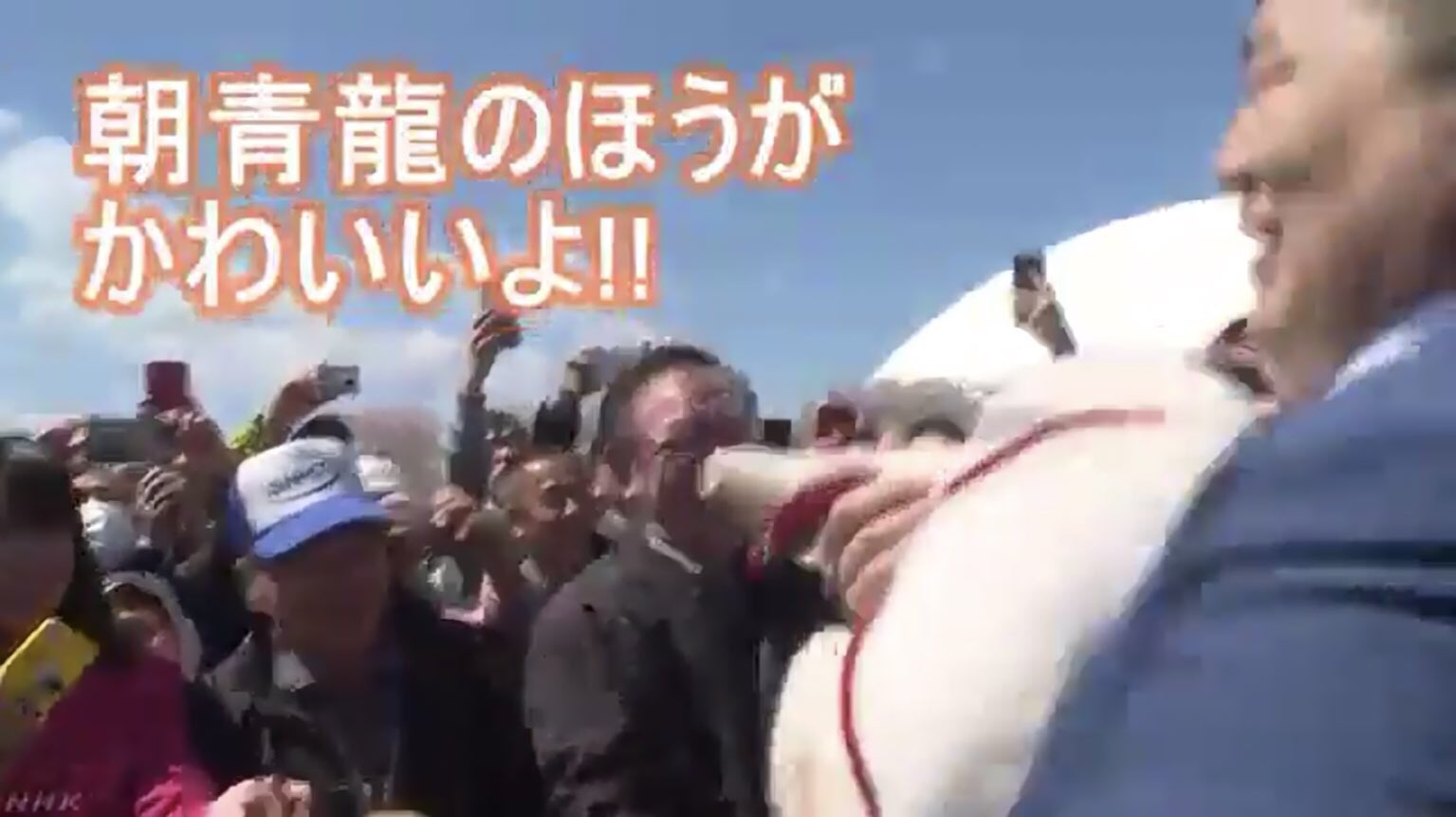 違法バタピー 朝青龍のほうがかわいい時に使う画像 T Co Ovksti71cr Twitter
