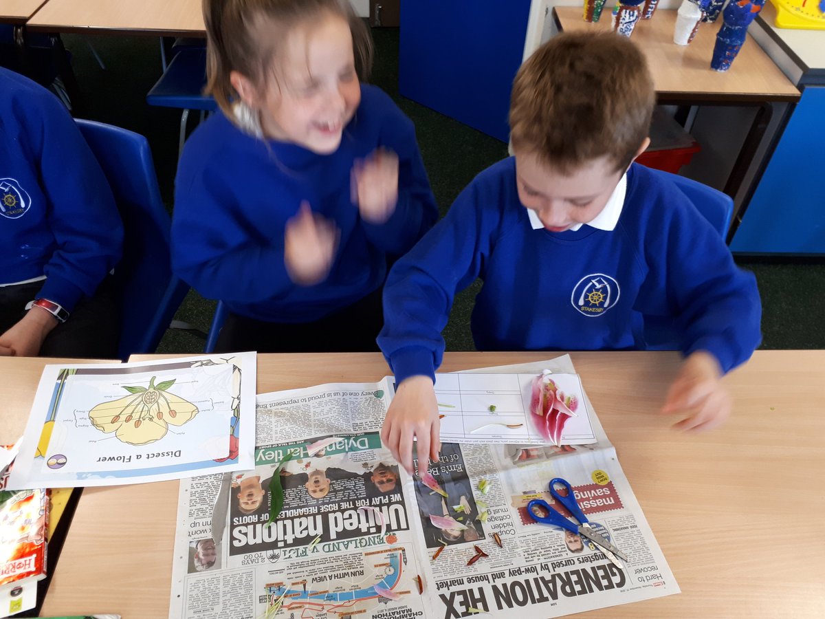 3Stakesby's tweet photo. We have enjoyed dissecting flowers today and investigating each part. Hopefully there aren't too many pollen-stained fingers! https://t.co/2jGzr5bWKr