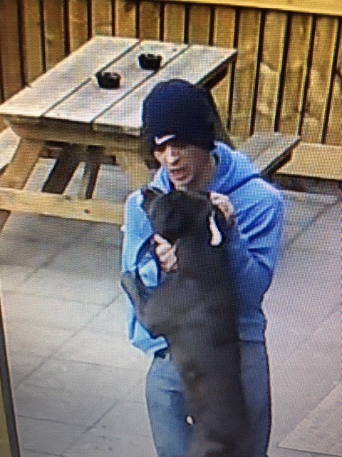 Bournemouthecho's tweet image. CCTV appeal after man punches dog, grabs it by the throat and throws it against a fence dlvr.it/R5CfVH