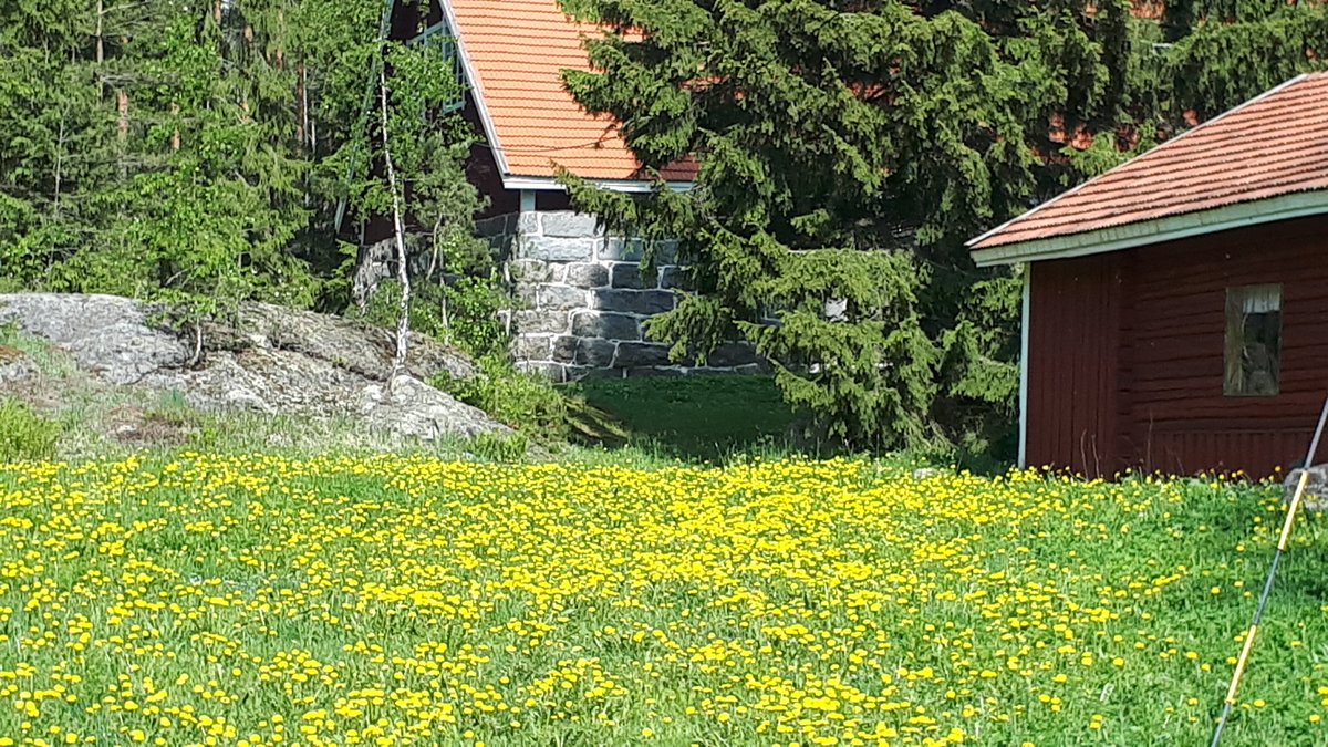 MntyharjunMuseo's tweet photo. #Kesä! https://t.co/u4JEylbSGf