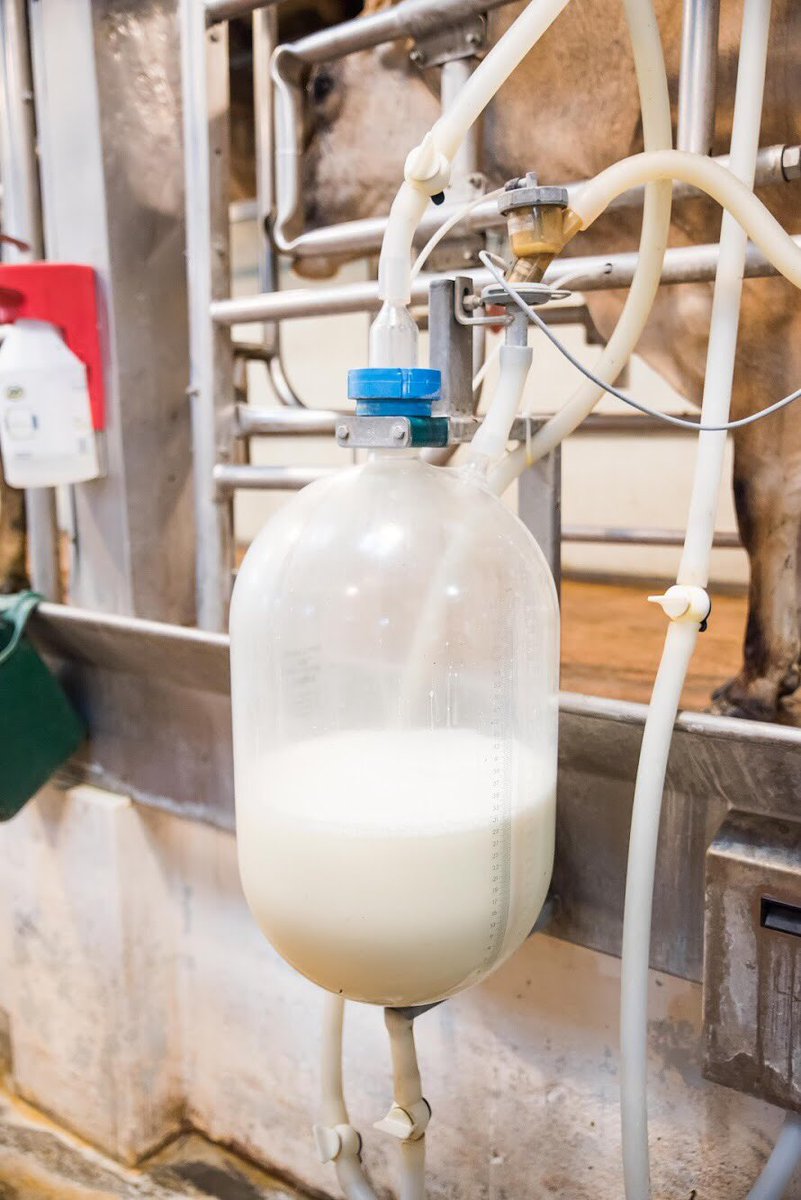 Went to Traders Point Creamery w <a href="/kbeimfohr/">J. Kyle Beimfohr</a> to create a #VirtualFieldTrip for our #WeAreWayne kiddos today!! Amazing place and INCREDIBLE food!! #INeLearn <a href="/GoogleARVR/">Google AR & VR</a> #AR #VR #ARVRinEdu <a href="/TPCreamery/">Traders Point Creamery</a> #FarmToTable