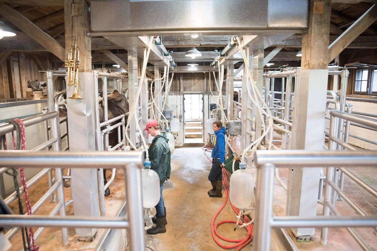 Robbie Grimes tweet media