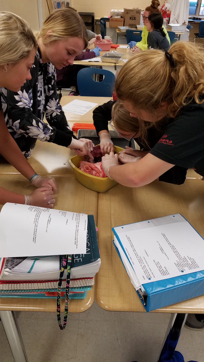 Tristarcc1's tweet photo. @Tristarcc1 Med Prep Tech students get some valuable hands on learning with cow hearts donated by @winnersmeats - students loved this experience and learned so much! #Learnbydoing #MyOhioClassroom #CareerTechOhio #ScienceinCTE #highlevellearning https://t.co/2rQAb6iHS4
