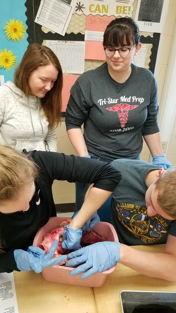 Tristarcc1's tweet photo. @Tristarcc1 Med Prep Tech students get some valuable hands on learning with cow hearts donated by @winnersmeats - students loved this experience and learned so much! #Learnbydoing #MyOhioClassroom #CareerTechOhio #ScienceinCTE #highlevellearning https://t.co/2rQAb6iHS4