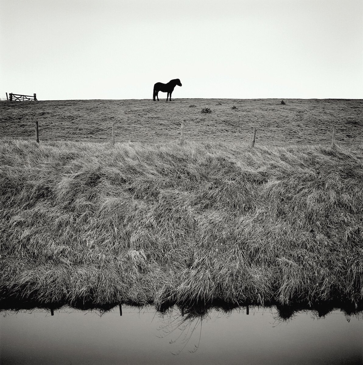 Delighted ! Sea Bank from DRAINED has been selected for <a href="/royalacademy/">Royal Academy</a> Summer Exhibition showing from 10 June - 12 August 

#gelatinsilverprint 

<a href="/AestheticaMag/">Aesthetica Magazine</a> <a href="/BWPMag/">B+W Photography</a> <a href="/ILFORDPhoto/">ILFORD PHOTO</a> <a href="/DewiLewis/">Dewi Lewis</a> <a href="/HodgsonF/">Francis Hodgson</a> <a href="/KBarronPhotos/">Katy Barron</a> <a href="/FilmsnotDead/">Film's not Dead.</a> <a href="/EMULSIVEfilm/">EMULSIVE</a> <a href="/BelieveInFilm/">#BelieveInFilm Community</a>