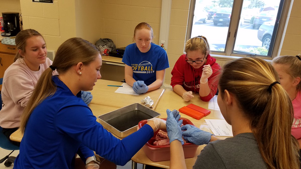 Tristarcc1's tweet photo. @Tristarcc1 Med Prep Tech students get some valuable hands on learning with cow hearts donated by @winnersmeats - students loved this experience and learned so much! #Learnbydoing #MyOhioClassroom #CareerTechOhio #ScienceinCTE #highlevellearning https://t.co/79a1p2Ejxn
