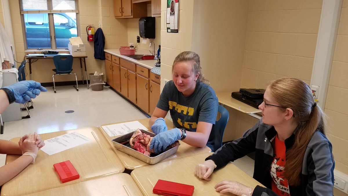 Tristarcc1's tweet photo. @Tristarcc1 Med Prep Tech students get some valuable hands on learning with cow hearts donated by @winnersmeats - students loved this experience and learned so much! #Learnbydoing #MyOhioClassroom #CareerTechOhio #ScienceinCTE #highlevellearning https://t.co/79a1p2Ejxn