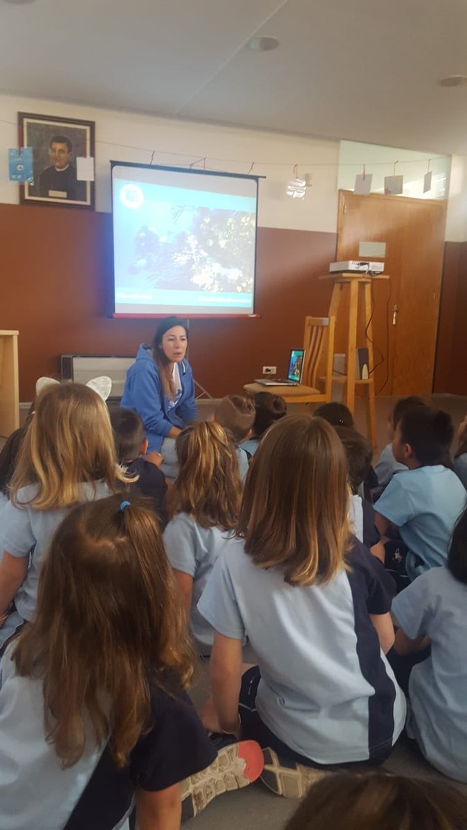 Hem rebut la visita de "Save the Med Foundation" i, a més d’aprendre els sorolls dels animals marins, hem conegut la problemàtica dels plàstics a la mar i la importància que té REDUIR el seu ús. Moltes gràcies per aquesta col·laboració!
#abp #projecteemprenedor #innovació