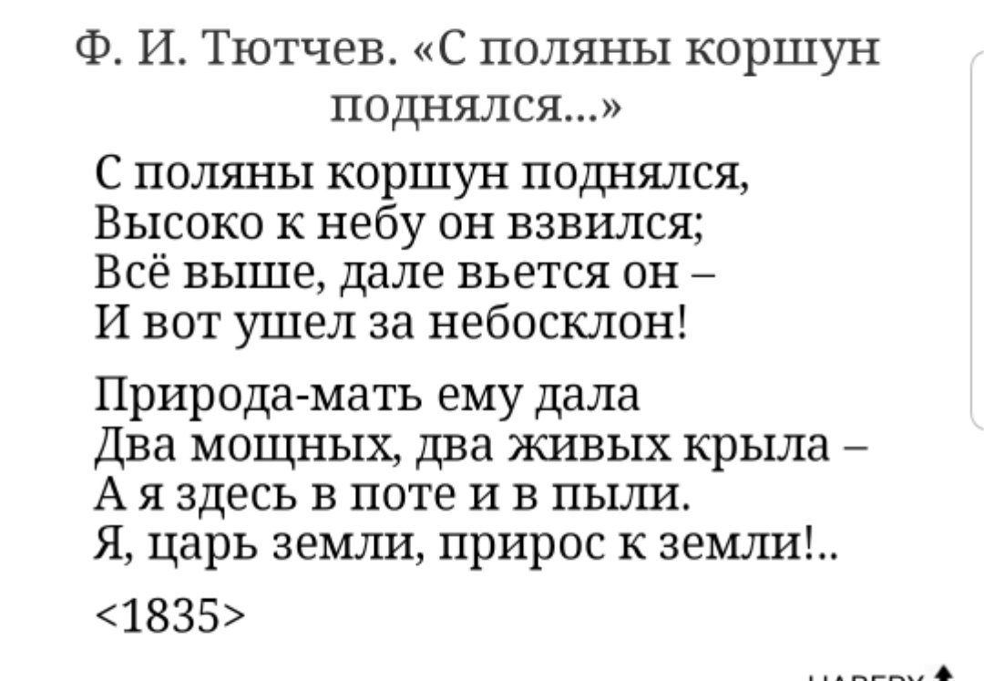 Произведение тютчева с поляны коршун поднялся. Стих с поляны коршун поднялся тютчев.