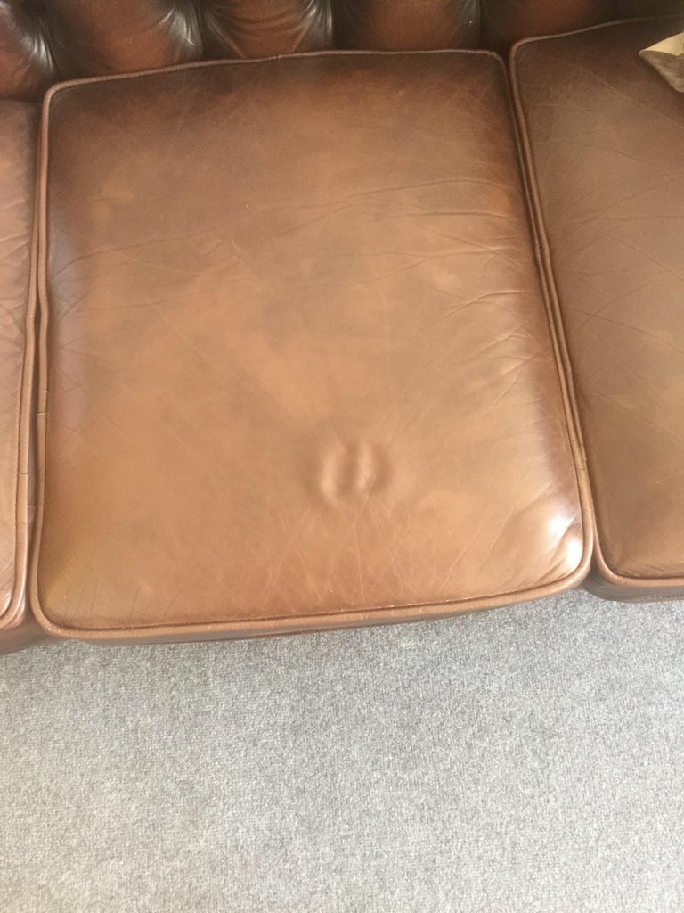 Agnesvarndean's tweet photo. @varndeangoats Well if it’s honesty you want... I’ve sent this evidence to the boss. ‘The day you pooped the Chesterfield.’ 😁😂🤣 https://t.co/vJBiSSgXP9