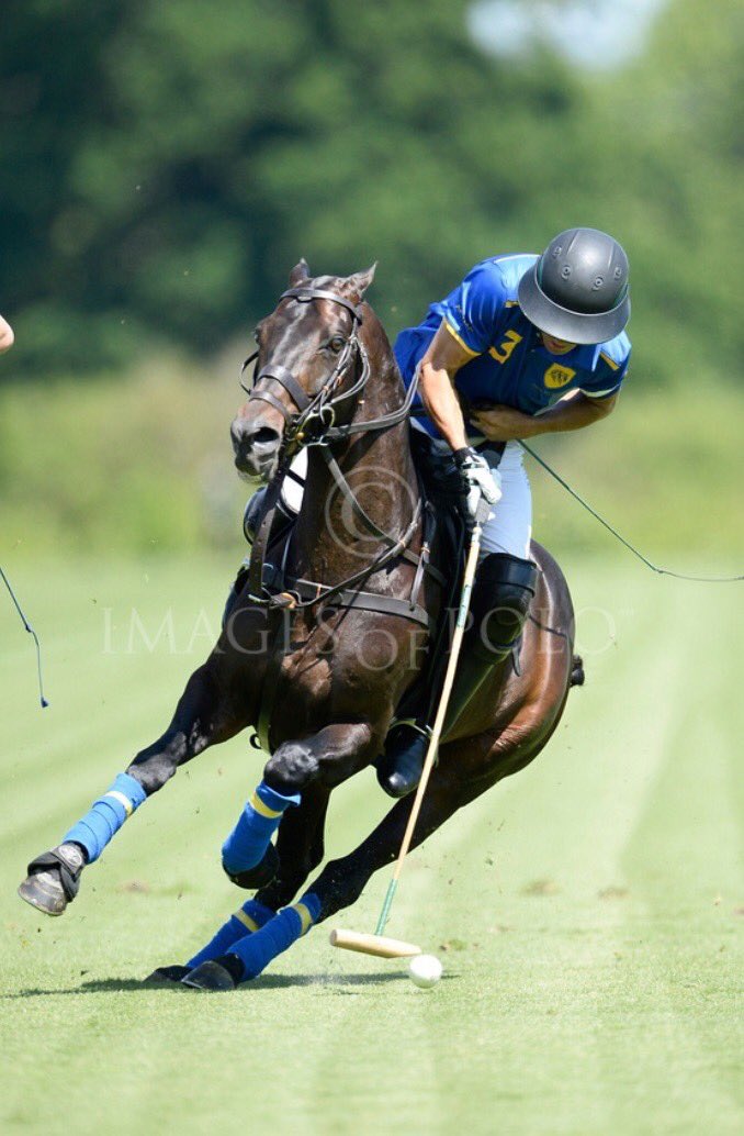 PoloTimes's tweet photo. 🏆The 2019 Cartier Queen's Cup is underway! 🏆
Yesterday saw wins for Park Place and UAE Polo in first day of matches
📖 Click here to read about the action: https://t.co/c2RBuPTOev
#polotimes #polonews #highgoal #queenscup #lovepolo #polo #polopony #summer https://t.co/jLgrg0UbOi