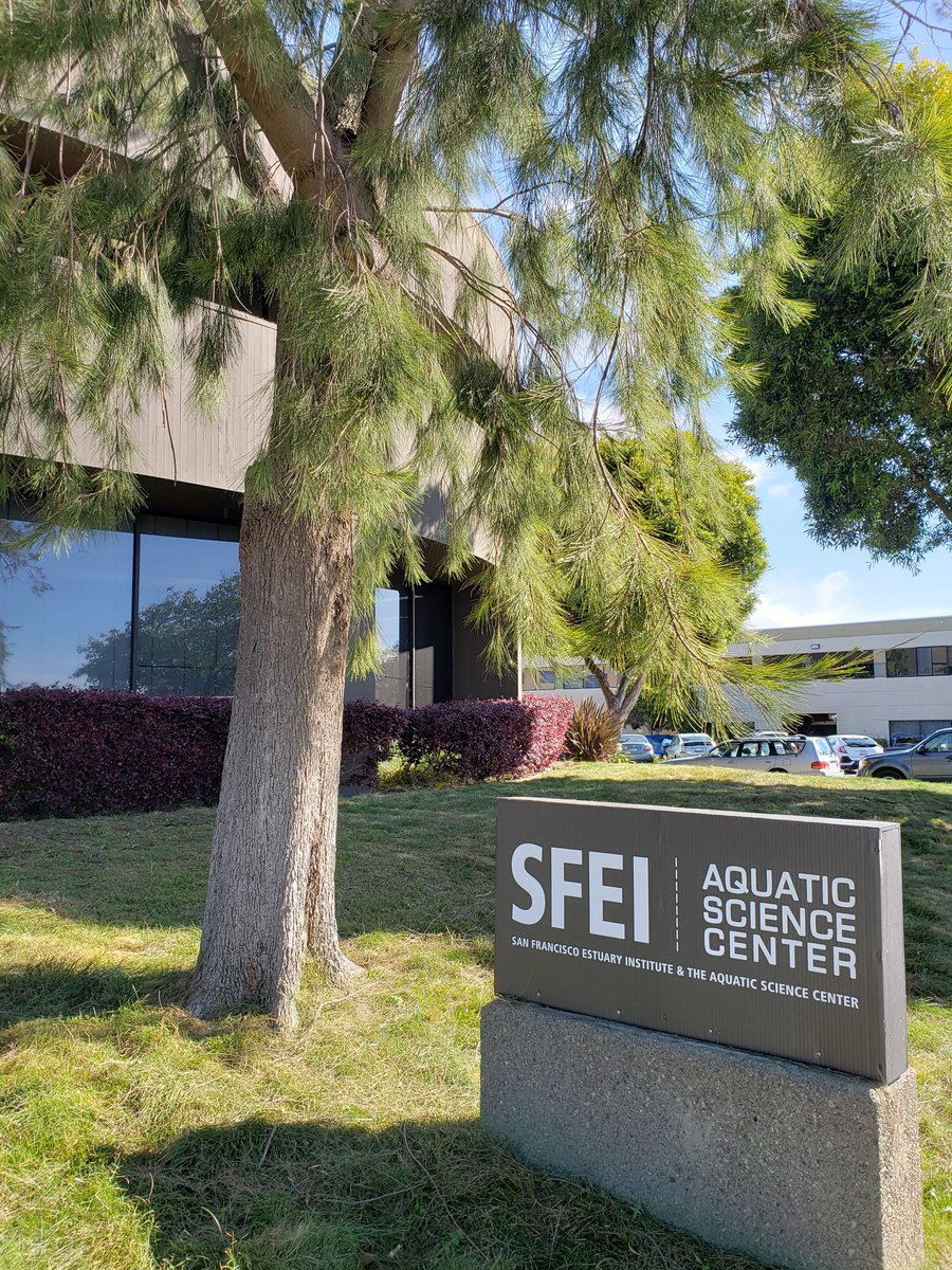 DrSCoffin's tweet photo. Excited to attend the #MicroplasticsWorkgroupMeeting at #SFEI! https://t.co/cCH5e47xN0