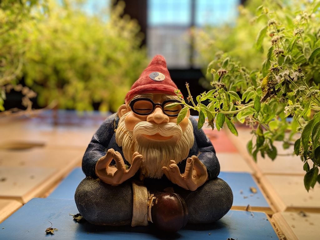 Dan Cayer tweet media