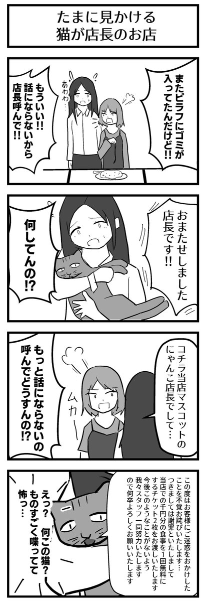 「たまに見かける猫が店長のお店」 