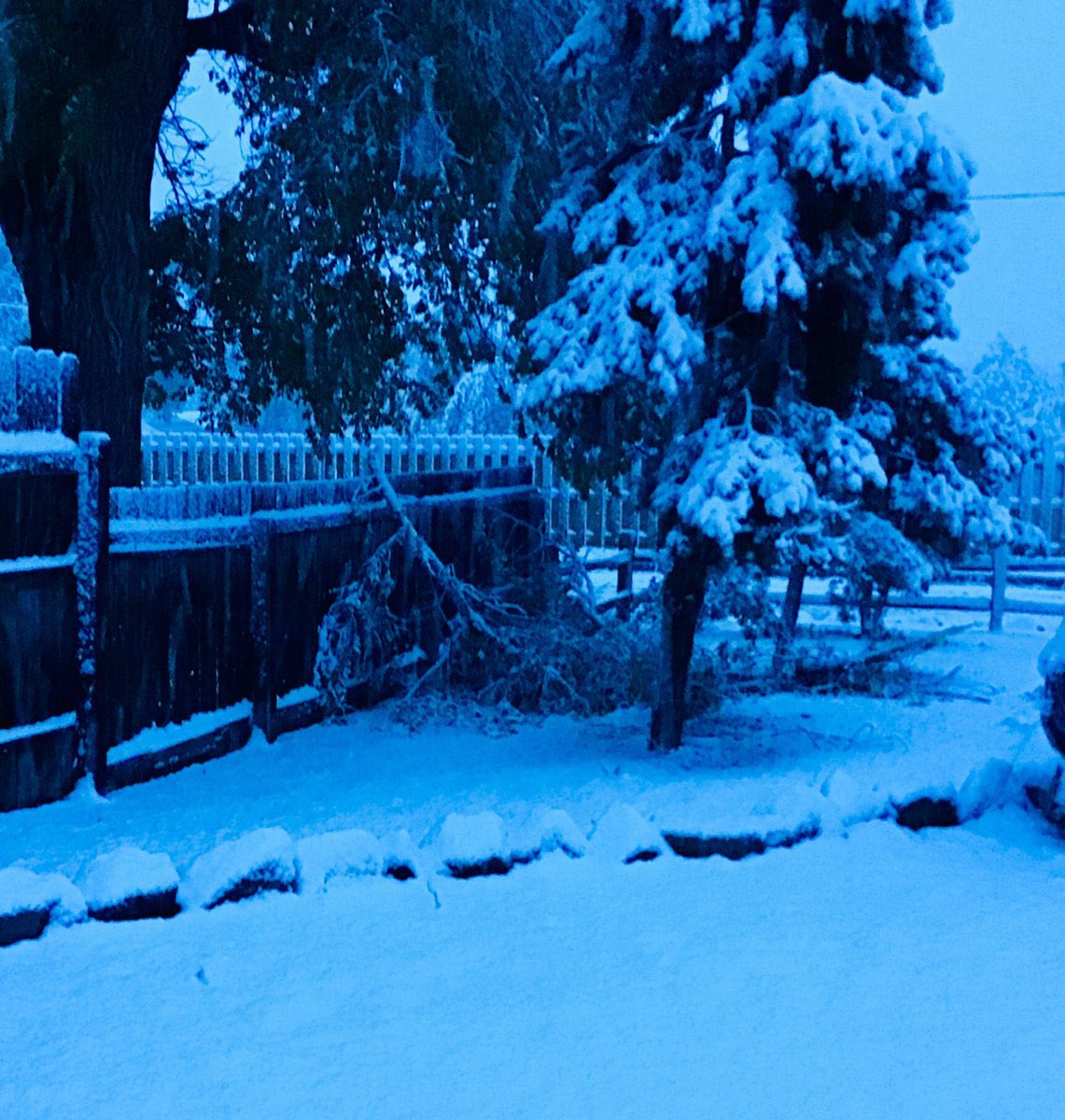 Lee_Williams_Jr's tweet photo. Me:  “It’s May.  Why is it still cold here in Toronto.”
Anyone in Denver rn:  “Dude!”
Me:  “Withdrawn”
#polarvortex #Spring2K19 https://t.co/oLW1IBOzlb