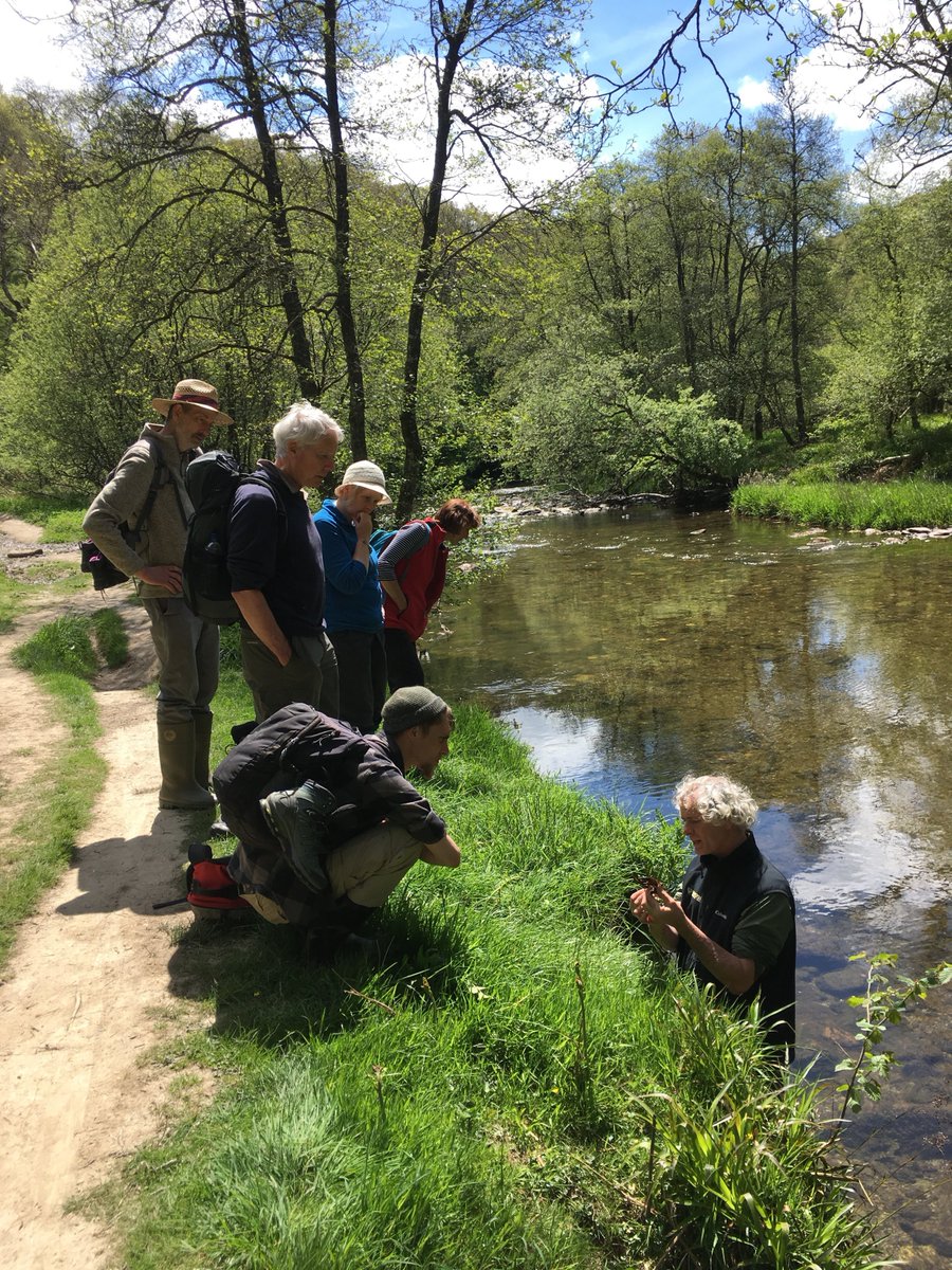 A beautiful day for our invasive species walk from Tarr Steps yesterday. We saw Himalayan Balsam and Signal Crayfish. Our work controlling Japanese Knotweed has obviously been a success on this stretch of the River Barle as none was to be found! #invasivespecies <a href="/InvasiveSp/">Invasive Species Week</a>