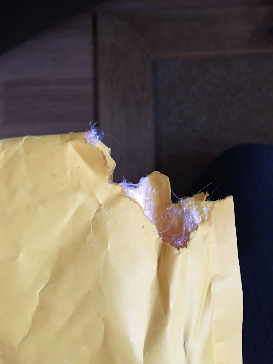 “What do you mean someone’s chewed up your mail? Don’t look at me!”