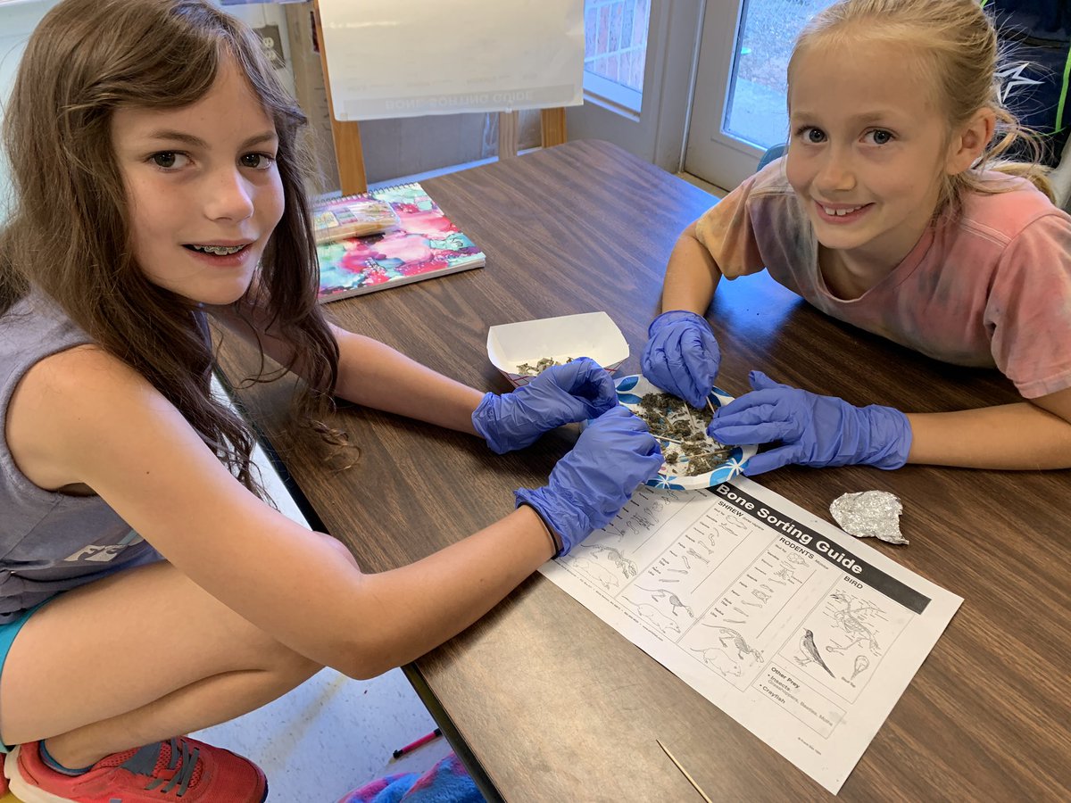 Studying the food chain means dissecting owl pellets🦉.  Interesting day in 4th grade.  <a href="/JohnsonWildcats/">Johnson Elementary School</a> <a href="/FloydCoSchools/">Floyd County Schools</a>