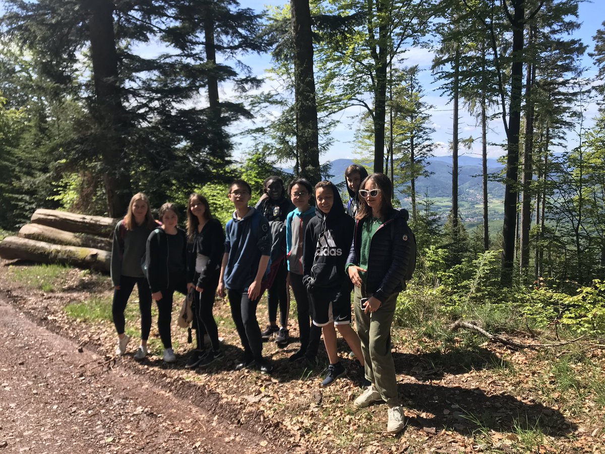 BurchBurcha's tweet photo. What a view! #mslearns #Alsace2019 https://t.co/gFloPoSycZ