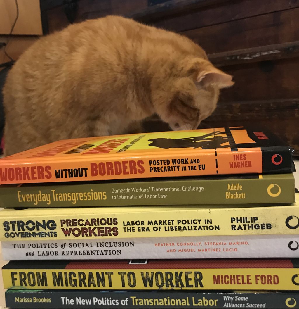 ILRpress's tweet photo. Todayβs cat-egory for #BundleWeekβnew #labor research. @AdelleBlackett @mmartinezlucio @DrHMConnolly @stefi_Marino @CornellPress https://t.co/xO0fdTPVms