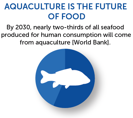 BAP_Seafood's tweet photo. DYK? By 2030, about two-thirds of all #seafood we eat will come from fish farming! https://t.co/lyx3WXHgz2