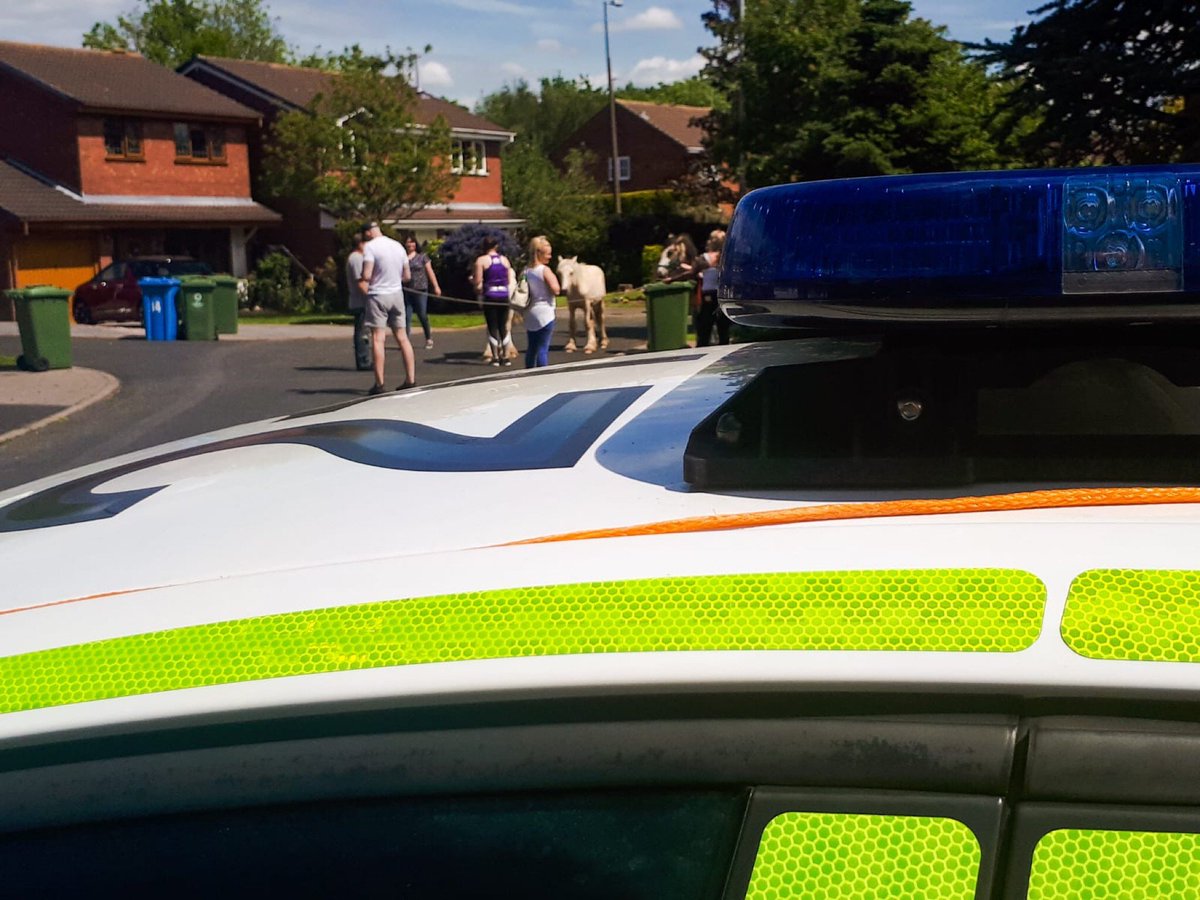 SStaffsPolice's tweet photo. @staffsresponse & #NPTShift3 with members of the public having a mare trying to round up three loose horses in #Perton today. Thank you for all assistance provided from the local community 🐎 https://t.co/8XmC3GQ89k