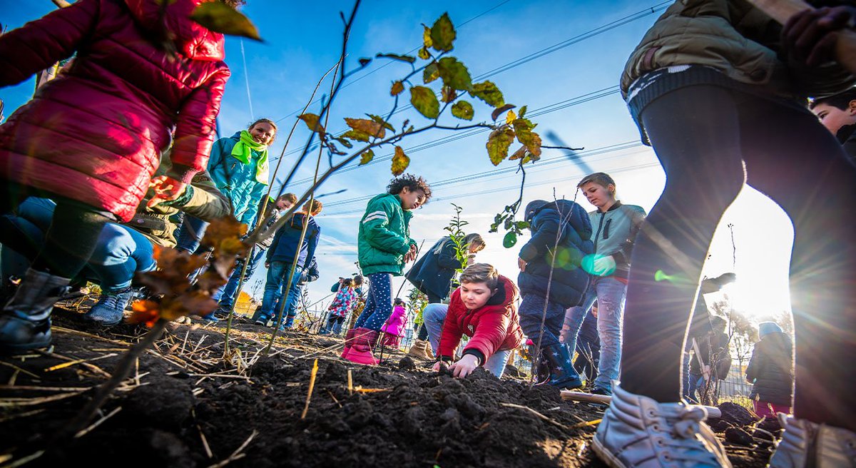 IVNNederland's tweet photo. De 15 #TinyForest gemeenten zijn bekend!🌳️ Gefeliciteerd @GemZaanstad @Gem_DenHelder @gemeentealkmaar @Gemeente_Lwd @GemDordrecht @_Smallingerland @Tynaarlo @gemKampen @GemHoogeveen @GemeenteEde @gemeentetilburg @gemeenteweert @roermondnieuws https://t.co/v7kkiF6XCH https://t.co/jydDnZD6no