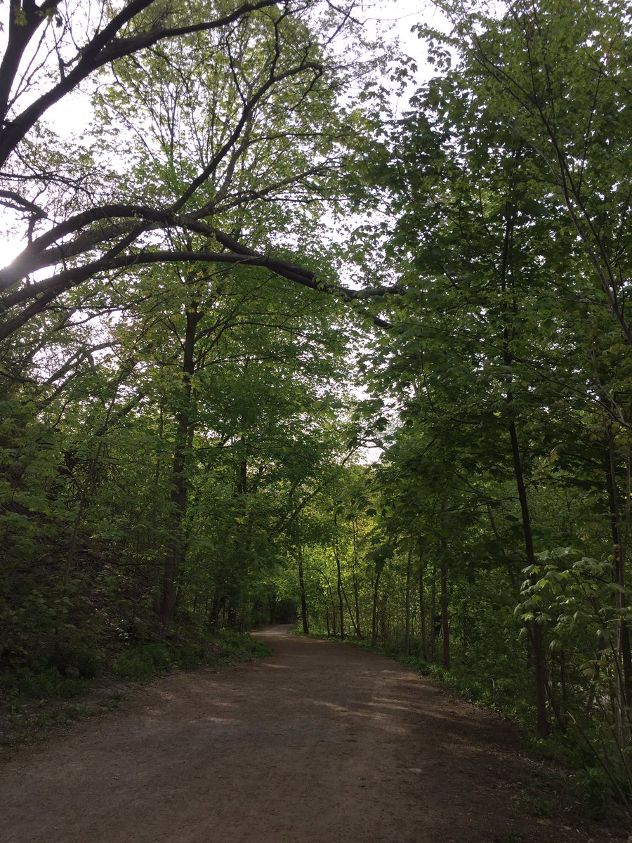 6km run in the Beltline trails near Brickworks this morning! Damn this Cities trail/path system never disappoints! #outsideisfree #goodtimesoutside #thesweatlife #runTO