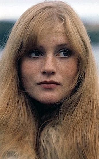 Erika Kohut Hive On Twitter If You Re Looking For A