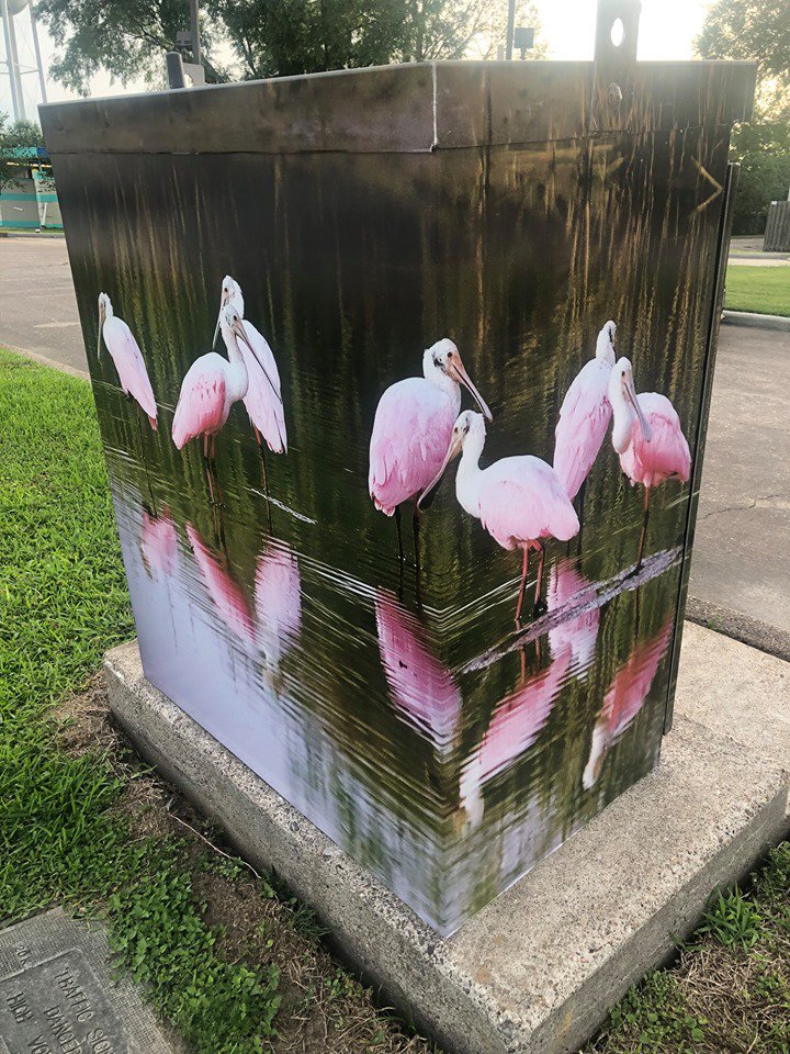 CityofBaytown's tweet photo. NEWEST ONE: Roseate Spoonbills are such vibrant, beautiful birds that can be spotted in Baytown's waterways throughout the year. Now you can also spot them on your commute at the intersection of Bayway Drive and Baker Drive. #iHeartBaytown #Baytownproud https://t.co/Yf0xJKuehj