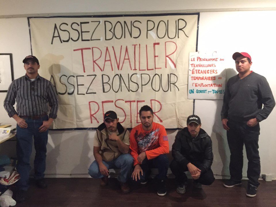 Victoire historique dans les tribunaux pour le droit à l’assurance-emploi des travailleurs migrants filsdepressemtl.info/victoire-histo…