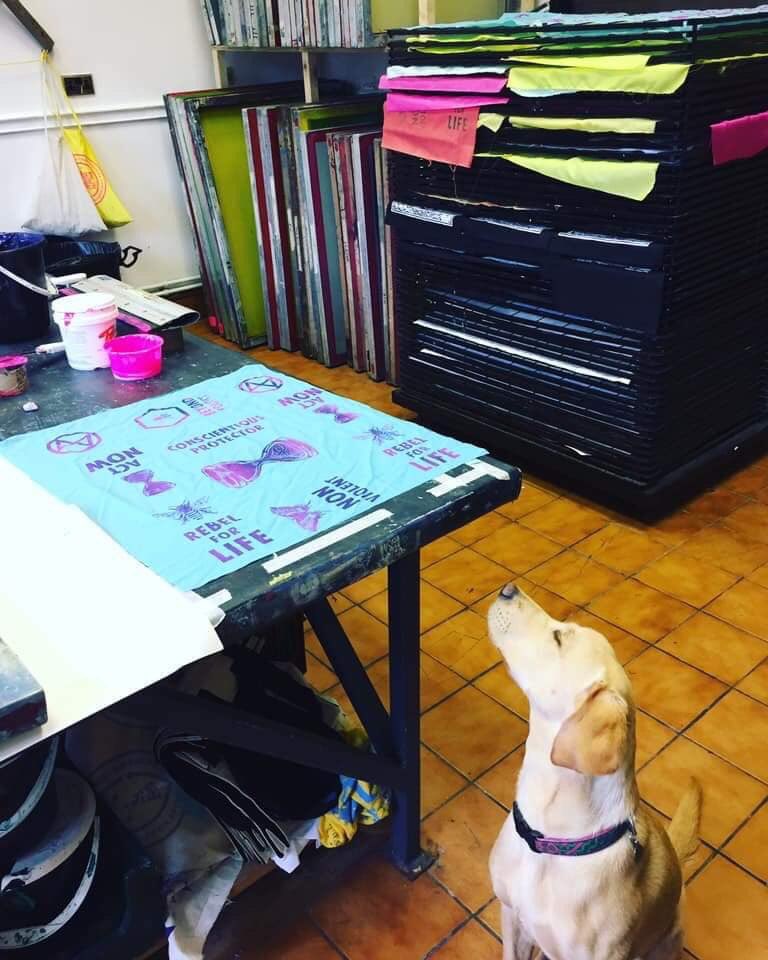 NorwichXr's tweet photo. The Norwich XR Arts Team have been busy doing some printing, creating lovely artwork ready to hit the streets to raise awareness of #ClimateCrisis and ecological emergency. Let’s make change happen! #ConscientiousProtector #RebelForLife #ExtinctionRebellion https://t.co/KZceiL09VO