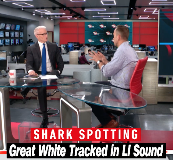 nyaquarium's tweet photo. Good news: a great white 🦈 was tracked in Greenwhich CT! Director Jon Forrest Dohlin went on @AC360 Full Circle to explain why it's a good thing that we're collecting basic info about these animals. Watch now! https://t.co/nIAvLMPrpT https://t.co/iz5N0zeEC6