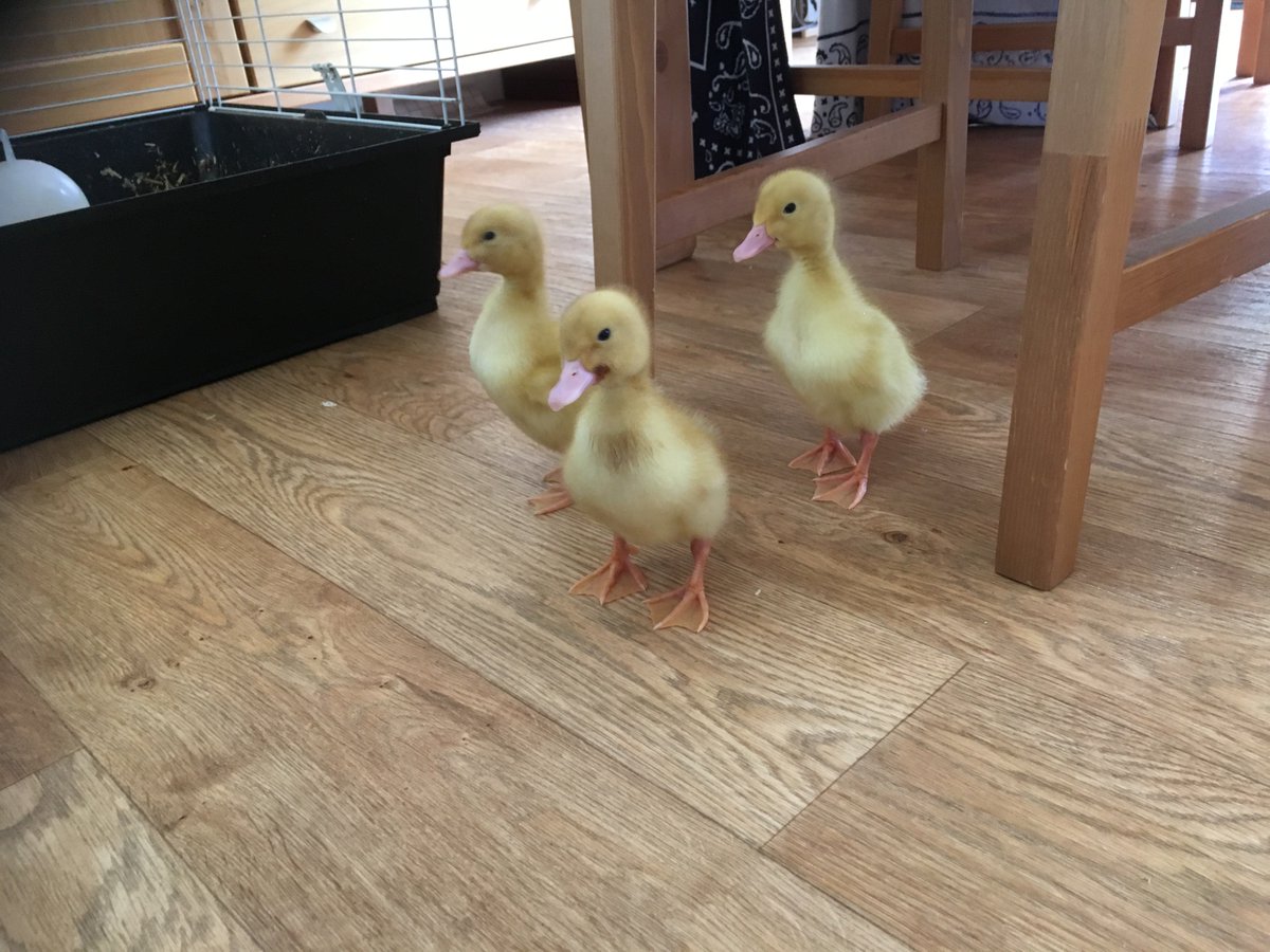 Yellowdotandover tweet media