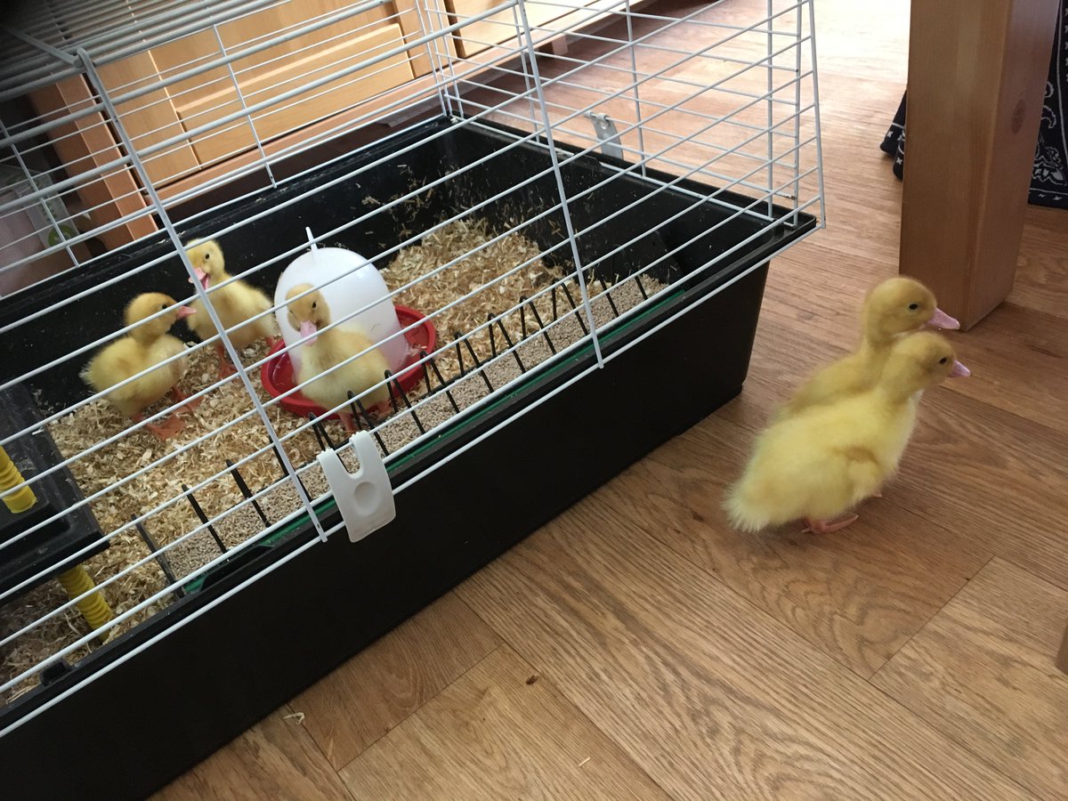 Yellowdotandover tweet media