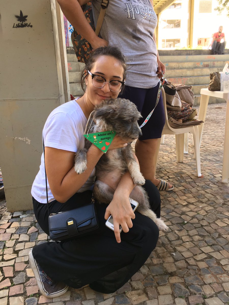 frafleury's tweet photo. Temos doguinha tb!!
#fafich #ufmg #adocao #cachorro #bastadotar https://t.co/0A0rnIWrmz