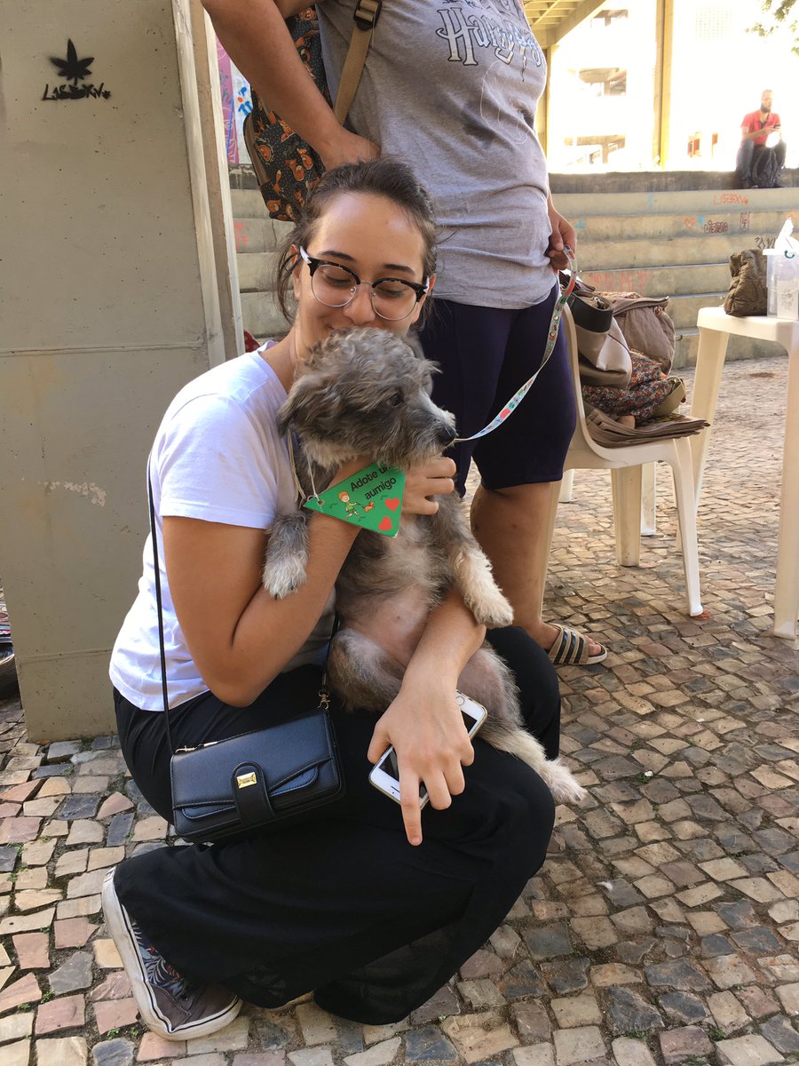 frafleury's tweet photo. Temos doguinha tb!!
#fafich #ufmg #adocao #cachorro #bastadotar https://t.co/0A0rnIWrmz