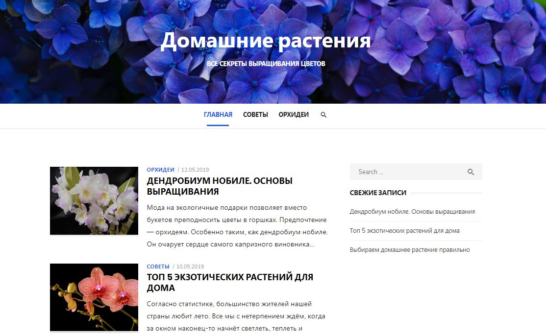 obzorneta's tweet image. Домашние растения rasteniya-doma.ru. Все секреты выращивания цветов #Домашниерастения #растения #орхидеи