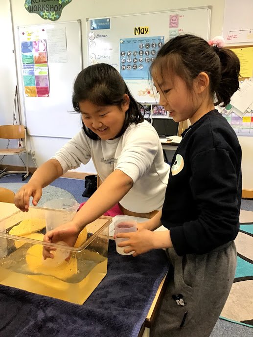 Assess4Learning's tweet photo. When we melt five ice cubes in a beaker, how many milliliters of water will we get? How many milliliters of water can each of these sponges hold? Estimate and then measure. Investigating volume is always fun and messy!!
#teachingvolume #measurement  #grade3 @FIS_School https://t.co/cZfV1AwlH1