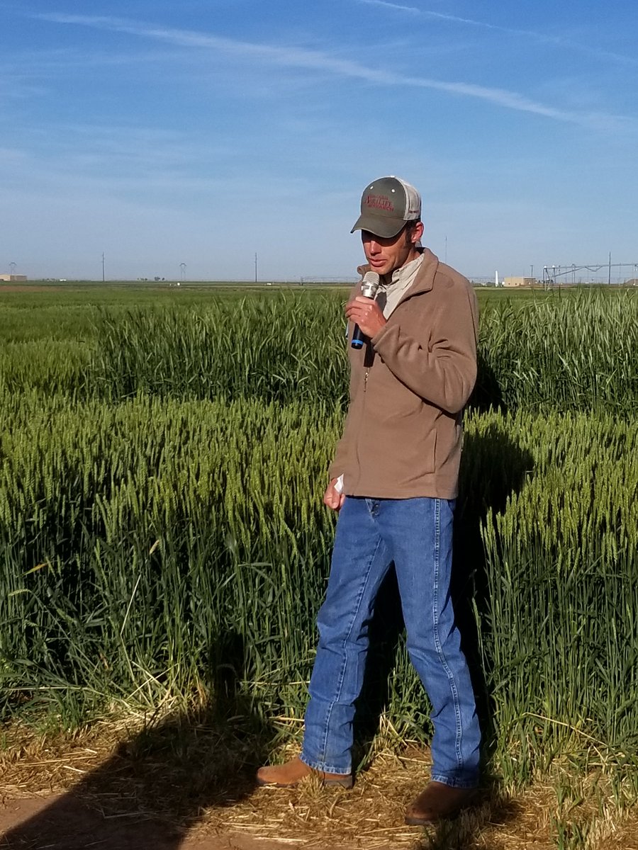 We are underway on the 2019 Texas A&amp;M AgriLife Wheat Tour. Next stop will be in Dalhart at 10:30 a.m.
