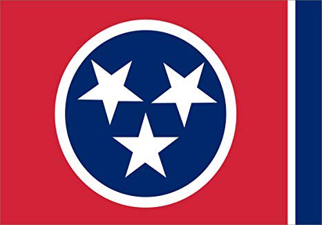 jbellbooks's tweet photo. If you look at the sponsors of HB1264/#SB705, you’ll see that a man who was given a no confidence vote by his peers is a sponsor. Please urge @GovBillLee to veto this bill &amp; distance himself from Speaker Casada. #TNleg @MomsDemand 

Email bill.lee@tn.gov
Text TN to 644-33 to ☎️ https://t.co/4Y3DnBCJMC