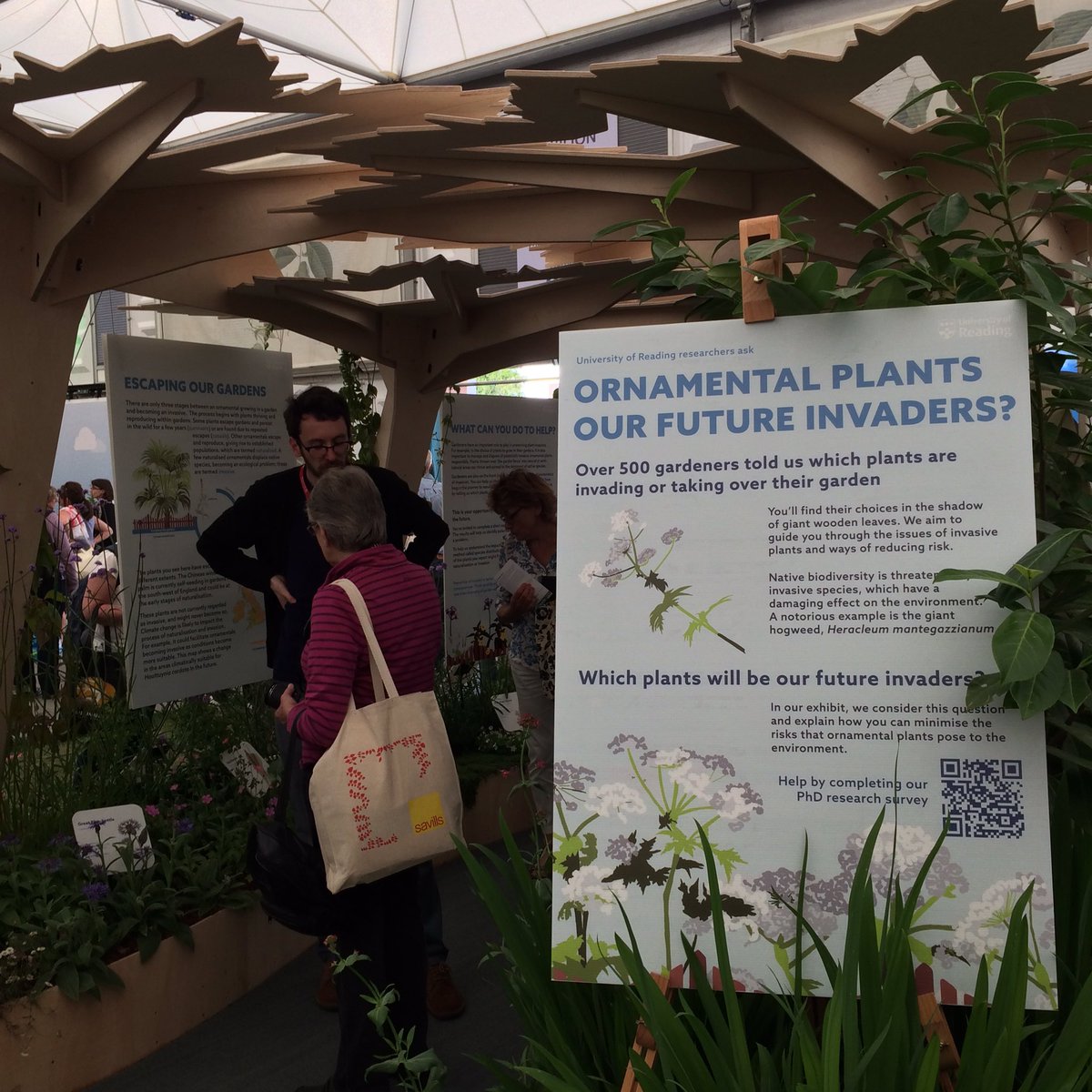 TomosJones92's tweet photo. Fantastic public #engagement at our #RHSChelsea #GardenEscapers exhibit! @j_bilsborrow discussing potential #invaders @UniRdg_PhD @readingbotany @SCENARIO_DTP You can complete the survey here: https://t.co/TZx1kmNNpd https://t.co/YZXXkzefNi