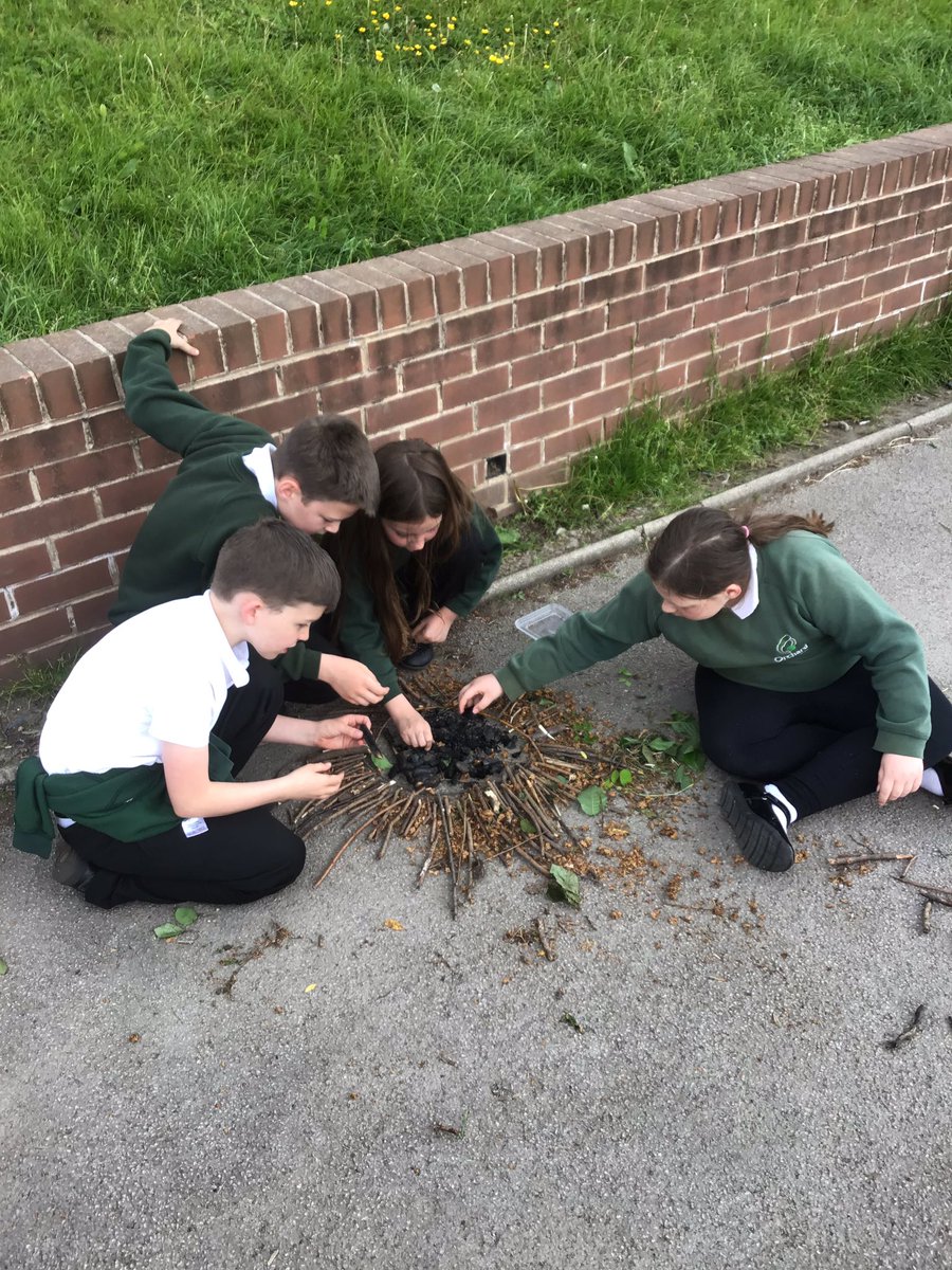 5Sycamore's tweet photo. Loving year 5’s art with its Andy Goldsworthy vibe!
#art #nature #naturalresources #outdoorlearning #successfulstudents
@OrchardPrimaryA @SouthPennine https://t.co/8yOlbv8QwY