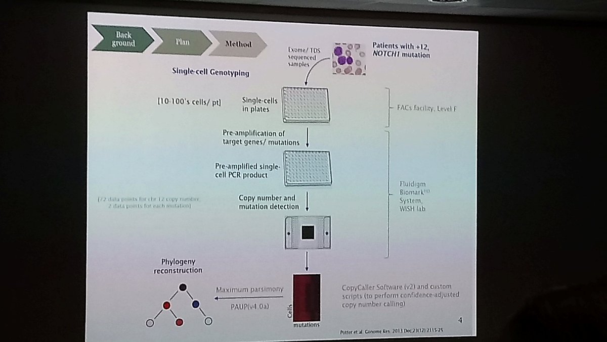 UoS_WISHlab's tweet image. Next talk at Bi-omics #Southampton conference another @CRUKSouthampton researcher Dr Mat Rose-Zerilli presenting his single cell genotyping work also conducted with @fluidigm #WISHlab platforms for CLL