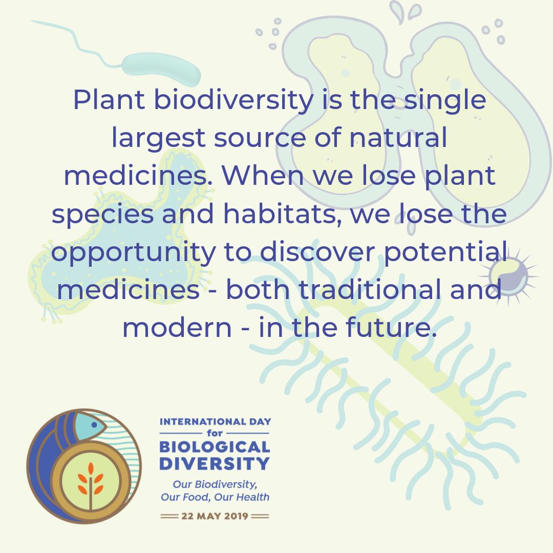 UNBiodiversity's tweet photo. Biodiversity provides the food we eat, the air we breathe, the water we drink and the medicines we need. Our report with @UNEnvironment and @WHO connects the dots between #biodiversity and human health.
https://t.co/K5AnsZzM8h
#idb2019 #BiodiversityIsHealth https://t.co/AnhRJOVdmY