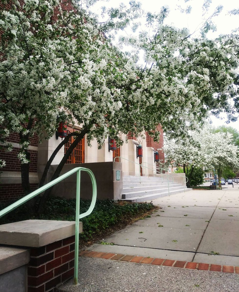 MSU_MBA's tweet photo. A beautiful spring day on MSU's campus. ๐บ
#michiganstate #MSU #msuMBA #spring #campus #SpartansWill #FullTimeMBA #springflowers https://t.co/tPIDdQlaXy
