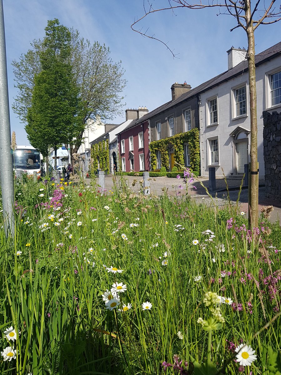 Hinterland Kells tweet media